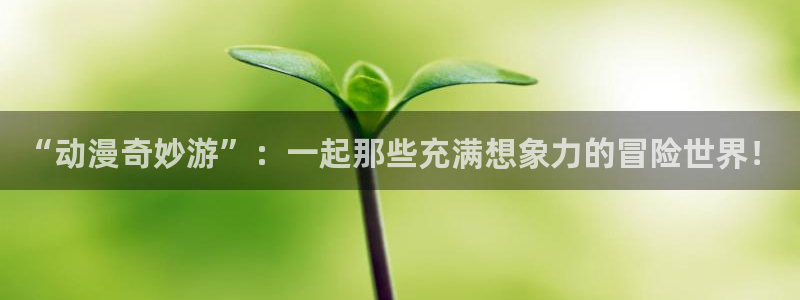 囧次元在线观看