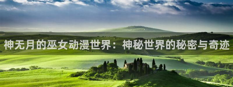 囧次元正版下载