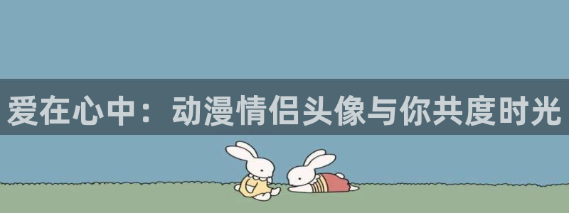 囧次元下载最新