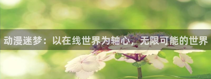 囧次元下载正版官网：动漫迷梦：以在线世界为轴心，无限可能的世界