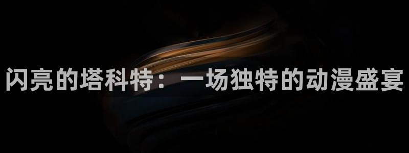 囧次元为什么打不开了：闪亮的塔科特：一场独特的动漫盛宴